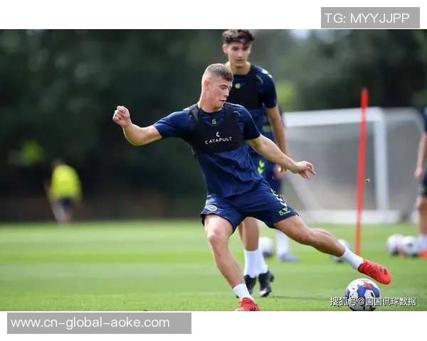 米尔沃尔对阵斯托克城精彩视频直播全程回顾与赛后分析 米尔沃尔对阵斯托克城精彩视频直播全程回顾与赛后分析